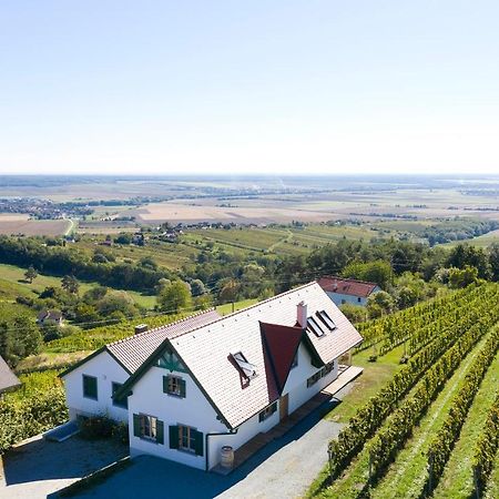 Kellerstoeckl Weinblick I Und II Villa Eisenberg an der Pinka Екстериор снимка