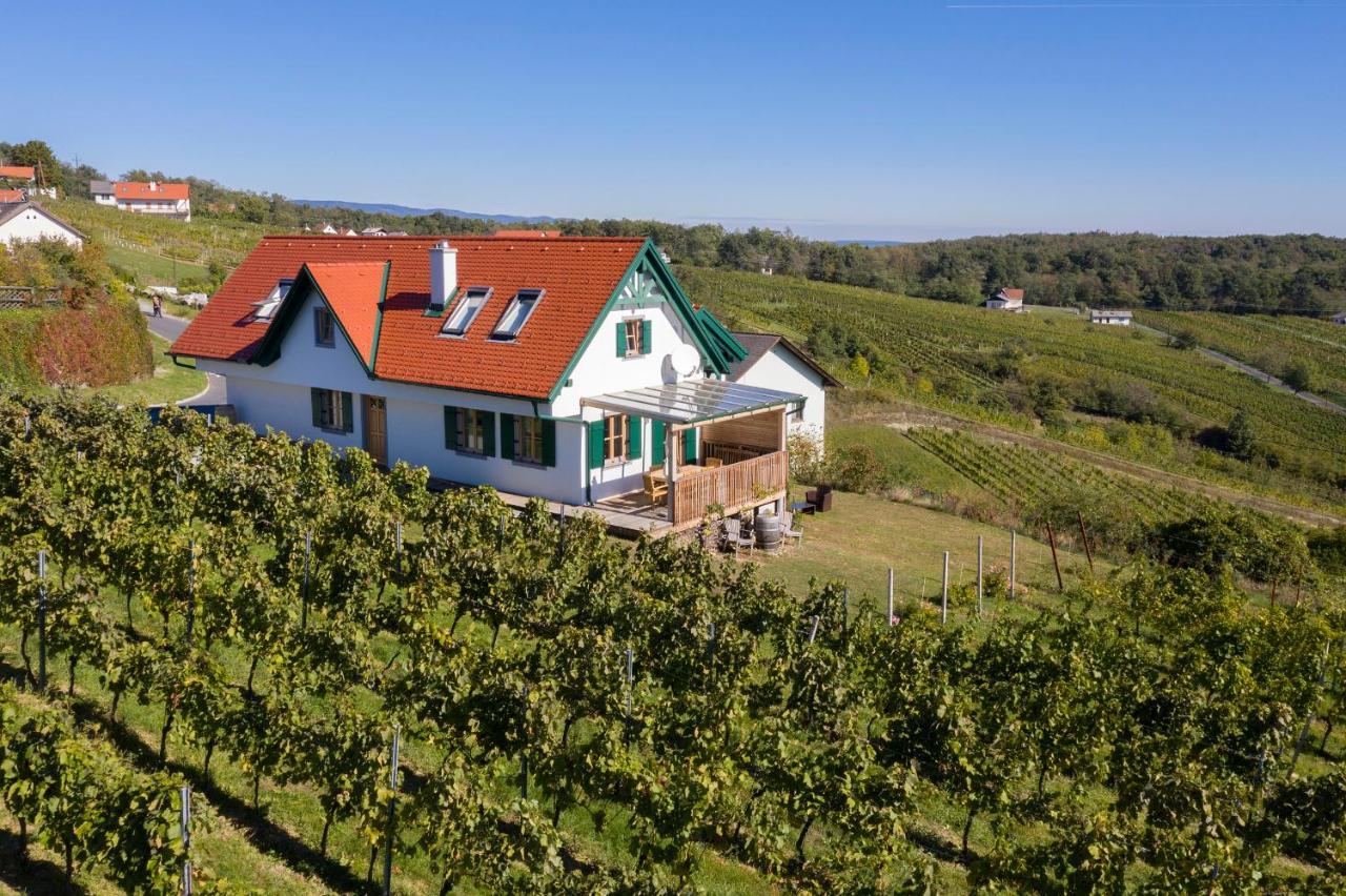 Kellerstoeckl Weinblick I Und II Villa Eisenberg an der Pinka Екстериор снимка